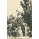 Pensionnat Saint-Joseph de Bucquoy - Une Allée du Potager.