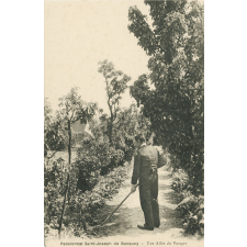 Pensionnat Saint-Joseph de Bucquoy - Une Allée du Potager.