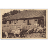Ecole Régionale d'Agriculture du Chesnoy - Montargis (Loiret) - La Porcherie, cases extérieures.