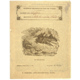 Les Sauterelles - Histoire naturelle n°55.