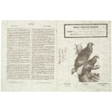 L'Aigle - Histoire naturelle n°320.