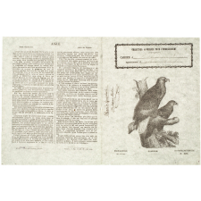 L'Aigle - Histoire naturelle n°320.