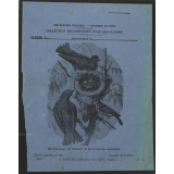 Le Carouge de brunet et la fauvette tachetée - Histoire naturelle n°189.
