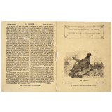 Le Ramier - Histoire naturelle n°178.