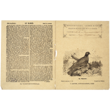 Le Ramier - Histoire naturelle n°178.