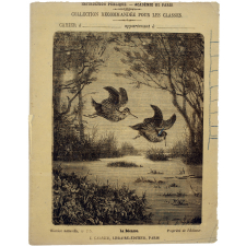La Bécasse - Histoire naturelle n°255.