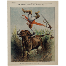 Aventure avec un buffle de l'Afrique centrale : Le petit voyageur illustré