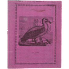 L'Albatros. 