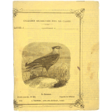 Le Caracara - Histoire naturelle n°238.