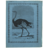 L'Autruche.