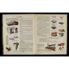 Leçons de choses par l'observation. Cours élémentaire. Classes de dixième et de neuvième.