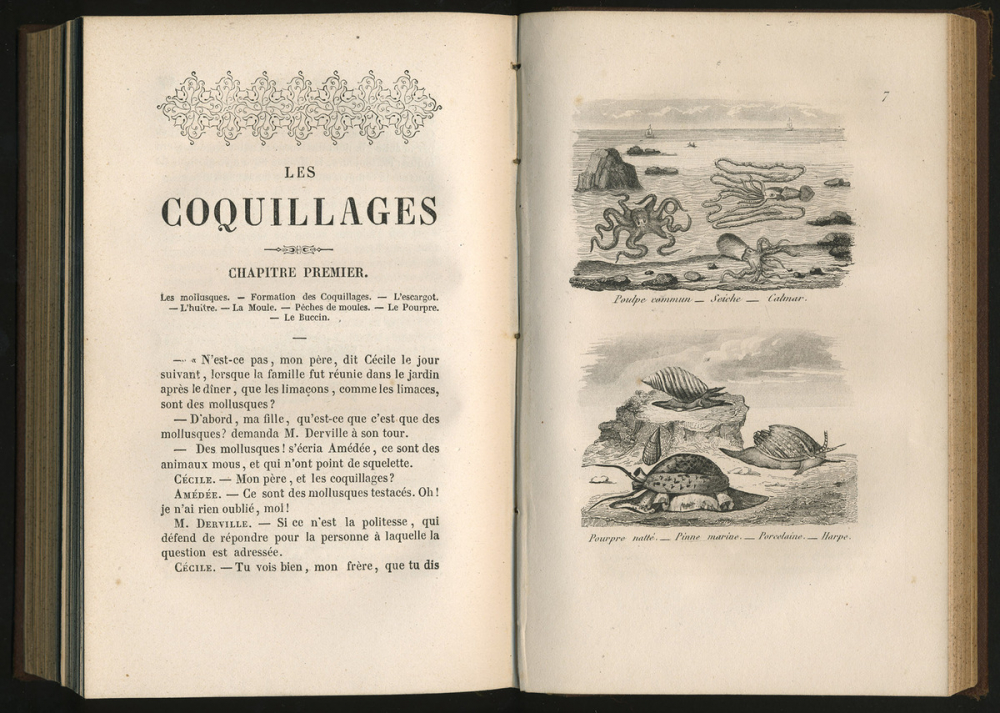 Les Jeunes naturalistes : entretiens familiers sur les animaux, les végétaux et les minéraux, tome1.