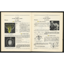 Sciences d'observation, (cours moyen 1ère & 2ème années, classes de 8ème et 7ème des lycées et collèges).