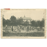 Ecole Primaire Supérieure et Professionnelle de Rouen - 15 - Jardin - Groupe d'Elèves travaillant dans leurs Jardinets.