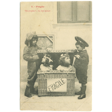 2 - Fragile - Des poupées ? Ca c'est épatant.