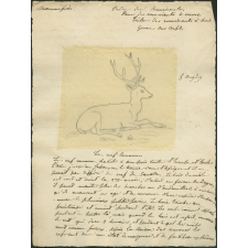 Taxinomie du cerf commun (mammifère)