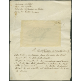 Taxinomie du caret