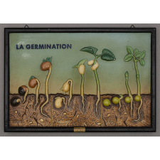 La Germination