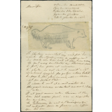 Taxinomie du glouton (mammifère)
