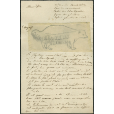 Taxinomie du glouton (mammifère)