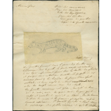 Taxinomie de la genette (mammifère)