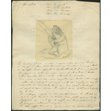 Taxinomie du paresseux (mammifère)