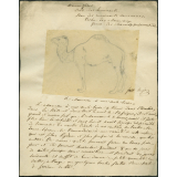 Taxinomie du chameau à une seule bosse (mammifère)