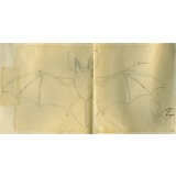 Chauve-souris