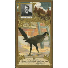 Galipaux. Chantecler
