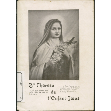 La Bienheureuse Thérèse de l'Enfant-Jésus : sa vie, après sa mort 