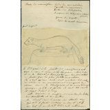 Taxinomie de la martre (mammifère)