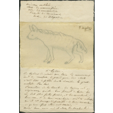 Taxinomie de la hyène (mammifère)