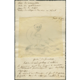 Taxinomie du singe Mangabey à collier