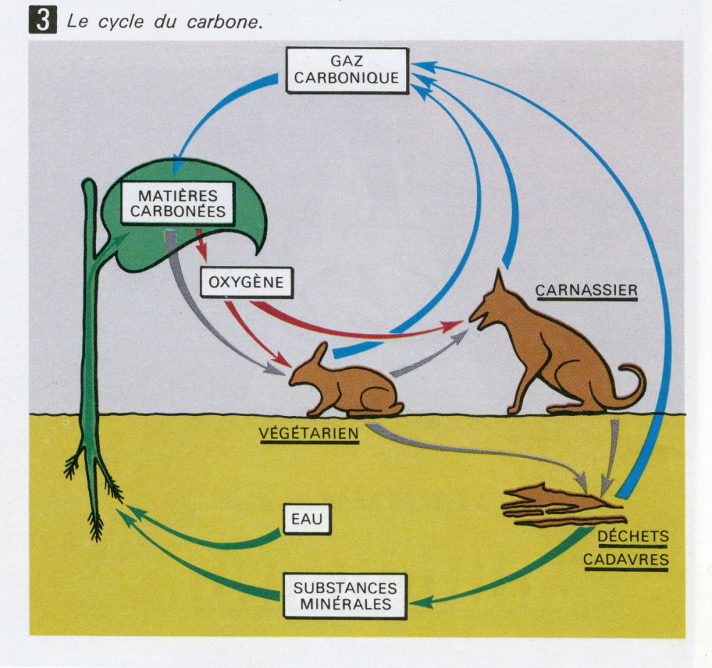 Biologie. 6e.
