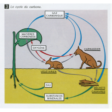 Biologie. 6e.