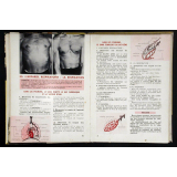 Exercices d'observation. Cours moyen 1re et 2e années.