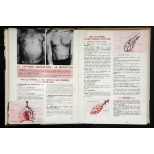 Exercices d'observation. Cours moyen 1re et 2e années.