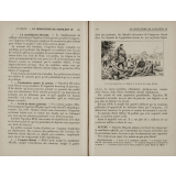 Histoire de la France expliquée aux enfants. Histoire de la Nation et Histoire de la Civilisation. 