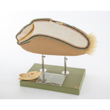 Modèle d'une coupe de grain de blé