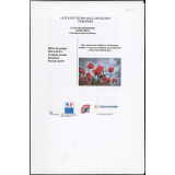 Le soldat de ma ville, un soldat européen/My home town soldier is a European soldier or how to celebrate the centenary of the First World War.
 Bilan du projet 2013-2015/compte-rendu financier février 2015