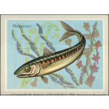 Poissons