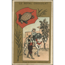 Rêver de tortues : chevauchée