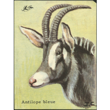 Animaux