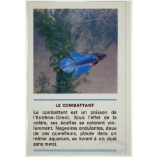 Animaux