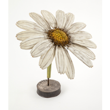 Fleur de chrysanthème
