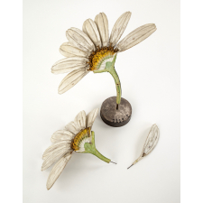 Fleur de chrysanthème