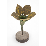 Melon : fleur mâle