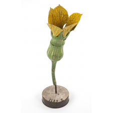 Melon : fleur femelle
