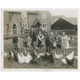 Children's school Farm. Children at the Maisemore (near Gloucester) Church School, have made their school famous by the success of their voluntarily run farm. Pigs, bees and chickens are kept at the school, and half an acre has been cultivated as a market garden. Many prizes have been won by the produce grown by the children, who take it in turns to perform the work during school hours. Photo shows - Children feeding the chickens which run around the playground. 600 eggs per week are sent to market. Fox OCT. 5th. 34