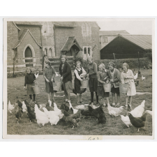 Children's school Farm. Children at the Maisemore (near Gloucester) Church School, have made their school famous by the success of their voluntarily run farm. Pigs, bees and chickens are kept at the school, and half an acre has been cultivated as a market garden. Many prizes have been won by the produce grown by the children, who take it in turns to perform the work during school hours. Photo shows - Children feeding the chickens which run around the playground. 600 eggs per week are sent to market. Fox OCT. 5th. 34